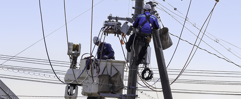資格取得支援の内容